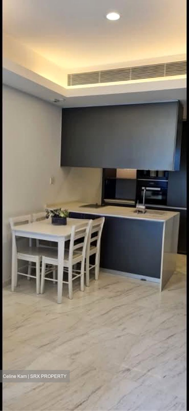 Cairnhill Nine (D9), Apartment #606438761